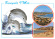 66-BANYULS SUR MER-N°4250-C/0293 - Banyuls Sur Mer