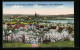 AK Werder, Panorama Während Der Baumblüte In Voller Blütenpracht  - Werder