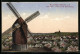 AK Werder A. H., Baumblüte, Panorama Blick Auf Die Wachtelburg U. Windmühle  - Windmühlen