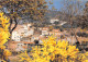 83-BORMES LES MIMOSAS-N°4252-C/0349 - Bormes-les-Mimosas