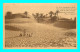 A802 / 419   Dunes De Sable Envahissant Une Palmeraie - Other & Unclassified