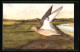 AK Buff-Breasted Sandpiper  - Birds