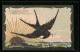 AK Fliegende Briefschwalbe Vor Goldener Sonne  - Birds