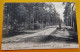 OOSTMALLE  - Steenweg Op Hoogstraeten   -  1919 - Malle