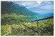 Vignes - Vignoble De Haut-Adige Entre Montagne Et Le Lac De Caldaro - Italie - CPM - Carte Neuve - Voir Scans Recto-Vers - Weinberge