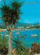 Espagne - Espana - Islas Baleares - Mallorca - Palmanova - CPM - Voir Scans Recto-Verso - Mallorca