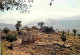 Cameroun - Mokolo - Vue Panoramique Sur La Région De Koza - CPM - Voir Scans Recto-Verso - Camerún