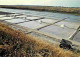 17 - Ile De Ré - Les Marais Salants - CPM - Voir Scans Recto-Verso - Ile De Ré