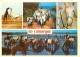 Animaux - Chevaux - Camargue - Multivues - CPM - Voir Scans Recto-Verso - Pferde