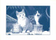 Animaux - Chats - Indigo - CPM - Voir Scans Recto-Verso - Gatos