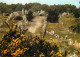 56 - Carnac - CPM - Voir Scans Recto-Verso - Carnac