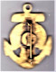 11° RIC. 11°  Régiment D'Infanterie Coloniale. Peint. Artisanale De Chine. - Esercito