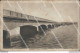 Ap478 Cartolina Grado Ponte Del Littorio Provincia Di Gorizia - Gorizia