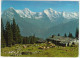 Kühmatte (1691 M) Ob Beatenberg Am Weg Niederhorn-Hohwald-Waldegg - Eiger,Mönch-Jungfrau - (Schweiz/Suisse/Switzerland) - Beatenberg