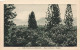 FRANCE - Nouvelle Calédonie - Dans Les Brousse à Canala - Forêt - Vue Générale - Carte Postale Ancienne - Nouvelle Calédonie