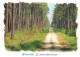 40.  FORET LANDAISE . - Zonder Classificatie