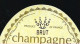 Etiquette Champagne  Brut Cuvée De Grande Origine DR Delagoutte Ravallec Vauciennes Epernay Marne 51 " Version1" - Champan