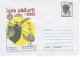 ROMANIA 2001: FOREST MONTH - TREE & MUSHROOMS 3 Unused Prepaid Postal Stationery Covers - Registered Shipping! - Postal Stationery