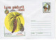 ROMANIA 2001: FOREST MONTH - TREE & MUSHROOMS 3 Unused Prepaid Postal Stationery Covers - Registered Shipping! - Entiers Postaux