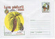 ROMANIA 2001: FOREST MONTH - TREE & MUSHROOMS 3 Unused Prepaid Postal Stationery Covers - Registered Shipping! - Postal Stationery
