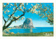 Espagne - Espana - Comunidad Valenciana - Calpe - Vista Del Penon De Ifach - Vue Du Rocher D'Ifach - CPM - Voir Scans Re - Alicante