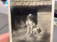 Snapshot 1930 Cannes Chien Assis Devant Sa Maison, A Attaché à Une Laisse Qui Prend La Pause. - Andere & Zonder Classificatie