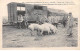 56 - COETQUIDAN - SAN37577 - Les Prisonniers Allemands Débarquant Des Cochons En Gare De Coëtquidan - Guer Coetquidan