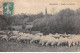 91 - ORMESSON - SAN56015 - Moutons Au Pâturage - Agriculture - Altri & Non Classificati