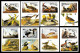 Bhutan 1985 Birds Audubon Complete Set Of 8 "Imperf" Stamps With Vignette MNH, As Per Scan, Only One Available - Bhutan