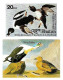 Delcampe - Bhutan 1985 Birds Audubon Complete Set Of 8 "Imperf" Stamps With Vignette MNH, As Per Scan, Only One Available - Bhután