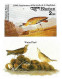 Delcampe - Bhutan 1985 Birds Audubon Complete Set Of 8 "Imperf" Stamps With Vignette MNH, As Per Scan, Only One Available - Bhután