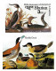 Delcampe - Bhutan 1985 Birds Audubon Complete Set Of 8 "Imperf" Stamps With Vignette MNH, As Per Scan, Only One Available - Bhutan