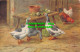 R477329 Farm. Geese And Rooster. Table. J. Salmon. Watercolour. E. Hunt - Welt