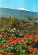Espagne - Espana - Islas Canarias - Tenerife - Flores Con Teide Al Fondo - Fleurs - CPM - Voir Scans Recto-Verso - Tenerife