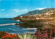 Espagne - Espana - Islas Canarias - Tenerife - Puerto De Santiago - Vista Parcial - Vue Partielle - CPM - Voir Scans Rec - Tenerife