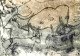 24 - Grotte De Rouffignac - Au Grand Plafond - Mammouth Chamois Et Bouquetin - Art Préhistorique - Préhistoire - Mention - Autres & Non Classés