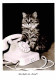 Animaux - Chats - CPM - Voir Scans Recto-Verso - Gatos