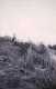 Petite Photo -  1938 -  Fort De DOUAUMONT - Parmi Les "chevaux De Frise" De La Guerre 1914 - Lugares