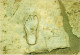 CPM AK Ephesus On The Marble Street A Footprint TURKEY (1403493) - Turquie