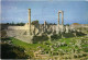 CPM AK Didim Temple Of Apollo TURKEY (1403269) - Turquie