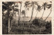 FRANCE - Mare - Le Loti Dans La Baie De Chépénépé - Vue Générale - Palmiers - Carte Postale Ancienne - Nouvelle Calédonie