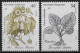 POLYNESIE FRANCAISE - PLANTES MEDICINALES - N° 285, 287 ET 315 A 317 - NEUF** MNH - Plantes Médicinales