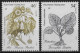 POLYNESIE FRANCAISE - PLANTES MEDICINALES - N° 285, 287 ET 315 A 317 - NEUF** MNH - Heilpflanzen