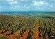 Vignes - Entre Vosges Et Foret Noire - A L'arrière Plan Colmar - Carte Dentelée - CPSM Grand Format - Carte Neuve - Voir - Viñedos