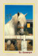 Animaux - Chevaux - Camargue - Cheval Camarguais - Etalon 1e Prix D'Arles Catégorie 5 Ans Neptunepropriété Emile Trazie  - Chevaux