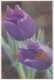 FLOWERS Vintage Ansichtskarte Postkarte CPSM #PAR412.A - Flowers