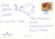 FLEURS Vintage Carte Postale CPSM #PBZ742.A - Fleurs