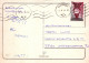 AFFE Tier Vintage Ansichtskarte Postkarte CPSM #PAN976.A - Scimmie