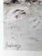 Affiche Bd Signée Hausman - L'elan - 40 X 60 Cm - Sérigraphies & Lithographies