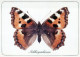 PAPILLONS Animaux Vintage Carte Postale CPSM #PBS418.A - Papillons